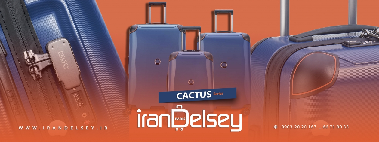 DELSEY CACTUS